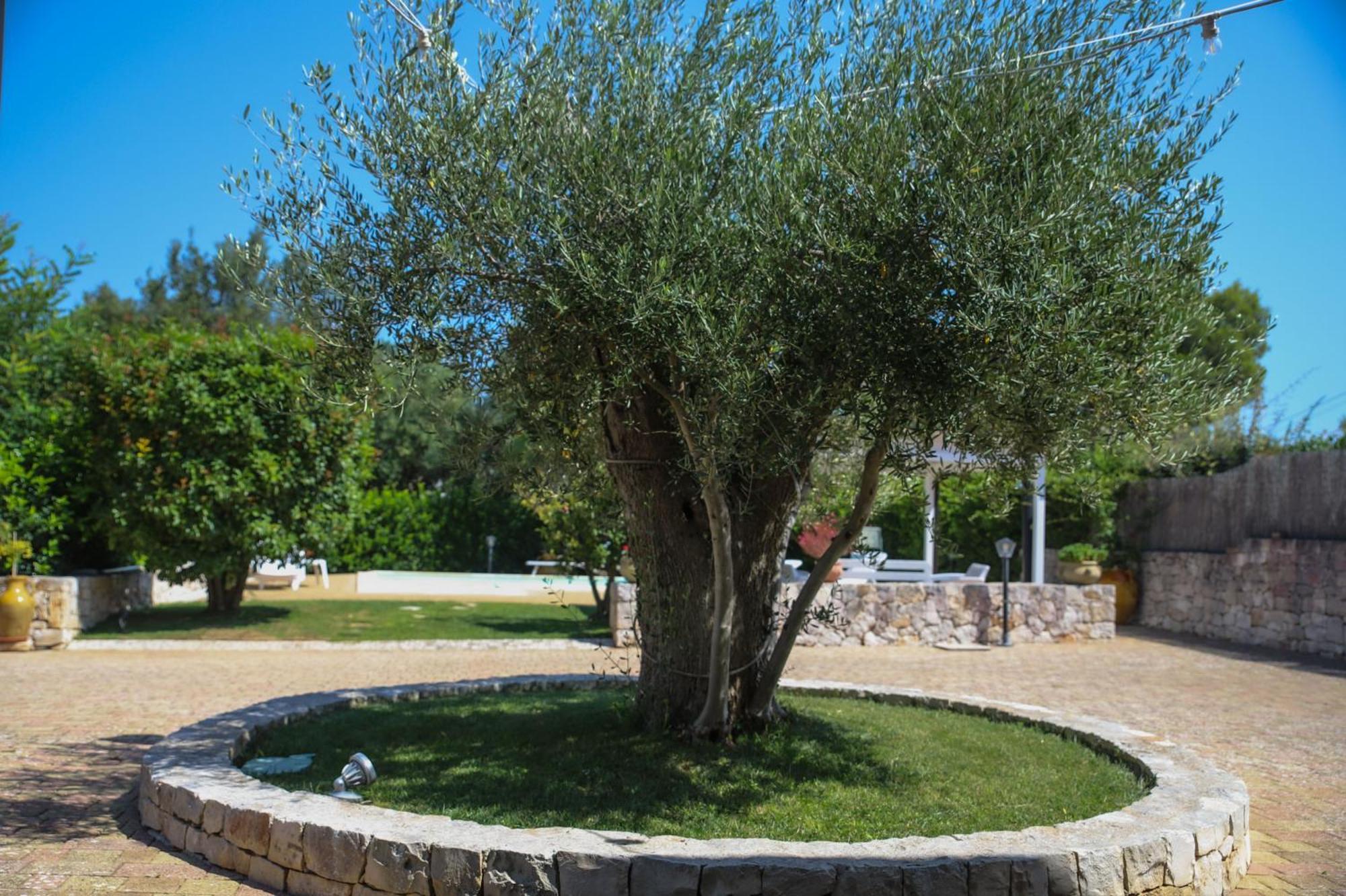 Villa Arisa With Pool Selva Di Fasano Exterior foto
